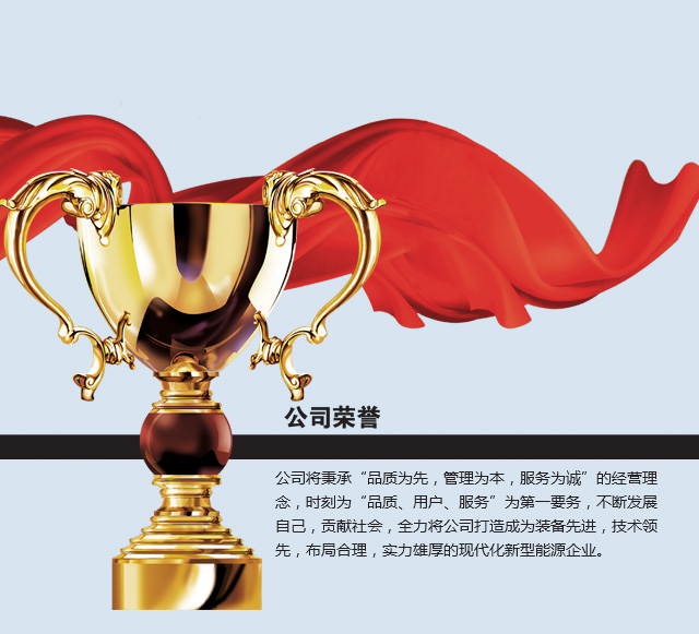 辽宁大元能源管理有限公司